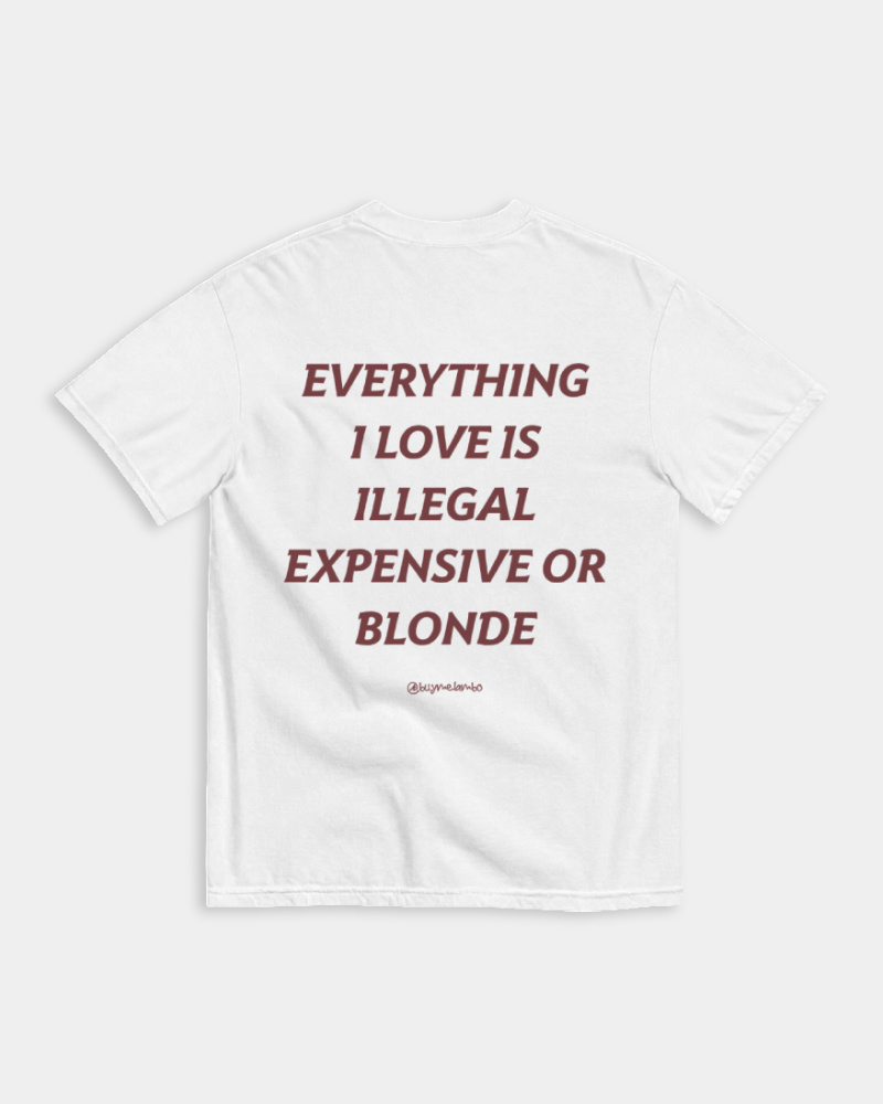 EVERYTHING I LOVE IS ILLEGAL, EXPENSIVE OR BLONDE WHITE